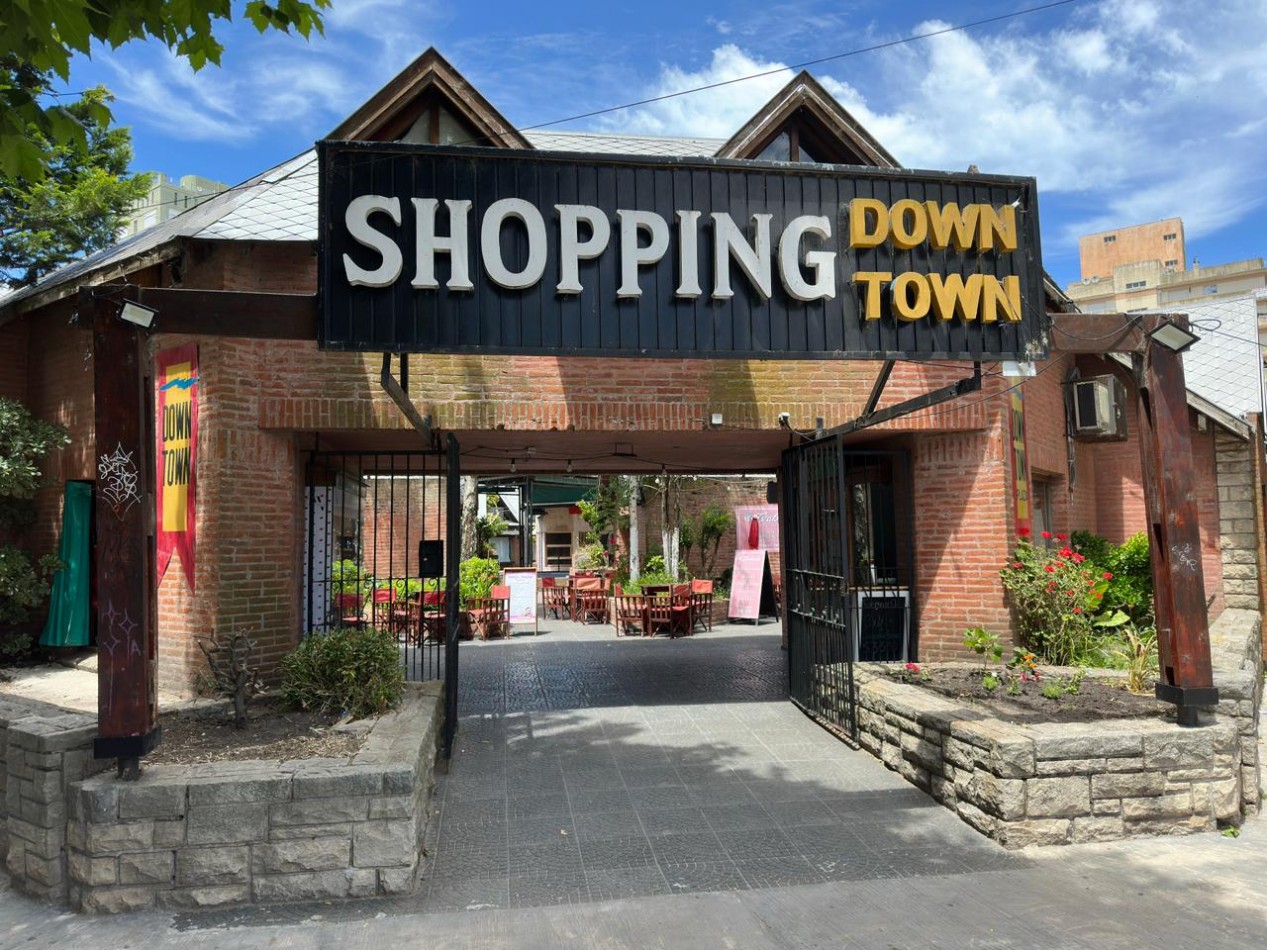 Local con Baño Down Town