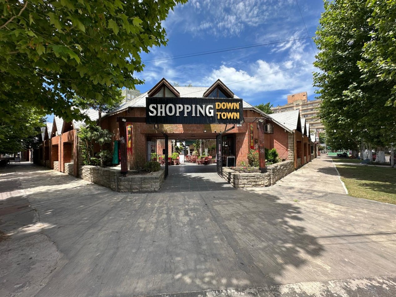 Local con Baño Down Town